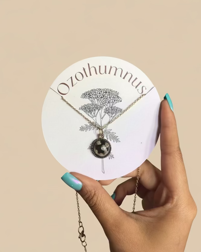 Ozothamnus Locket